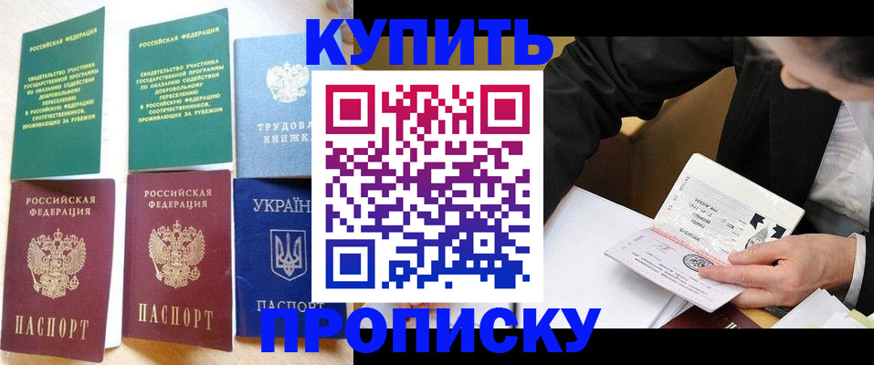 прописка для школы в Ершове